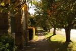 Robertson NSW street 2